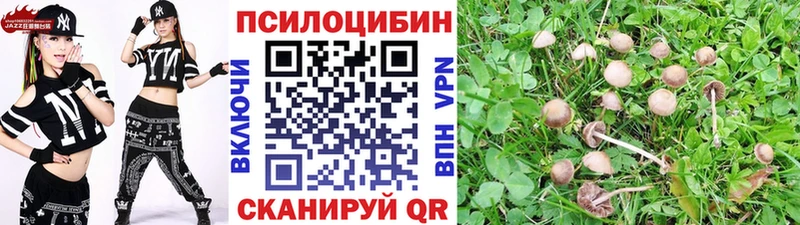 купить закладку  Краснозаводск  darknet как зайти  Псилоцибиновые грибы MAGIC MUSHROOMS 